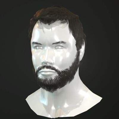 Hair and Beard Cards - 3D Model by CG StudioX