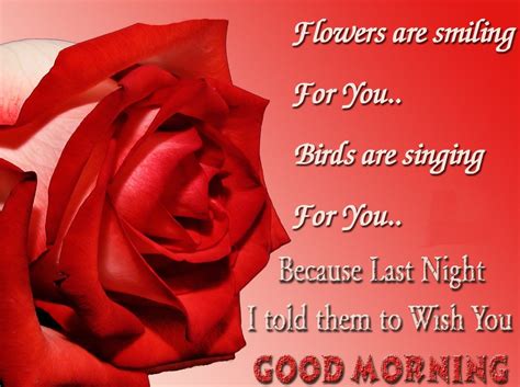 Good Morning Love Status Download : 8 good morning message to the love ...