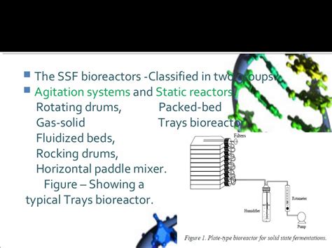 Solid state fermentation - Brief introduction