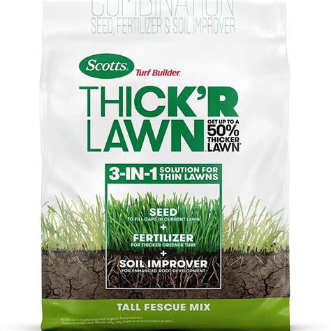 Best Tall Fescue Seed for Your Lawn 2021 (Ratings and Reviews ...