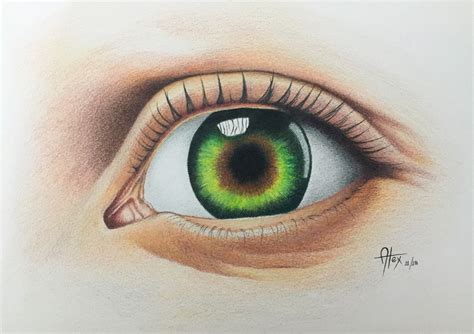 EYE DRAWING IN COLOR PENCILS :: Behance