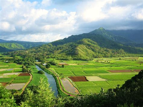 Hanalei Valley, Kauai, Hawaii | Hanalei, Favorite places, Kauai