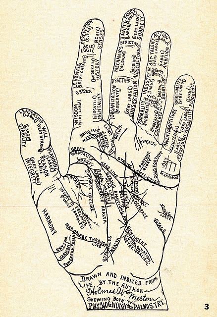 palmistry charted | Palmistry, Palmistry hand, Book of shadows