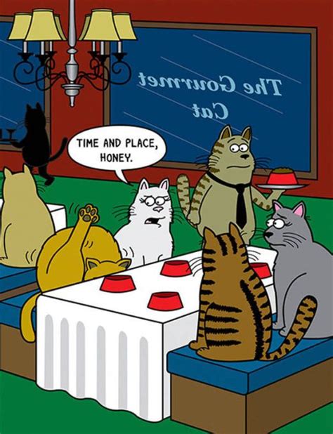 Funny Cat Cartoons | Fun