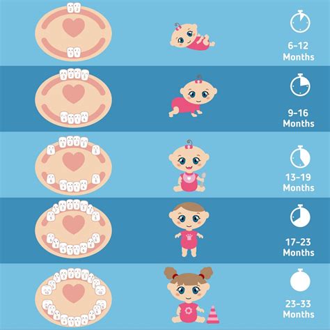 Baby’s Teething chart - Kids Dental Studio