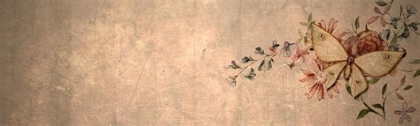 Vintage Butterfly Banner · Free image on Pixabay