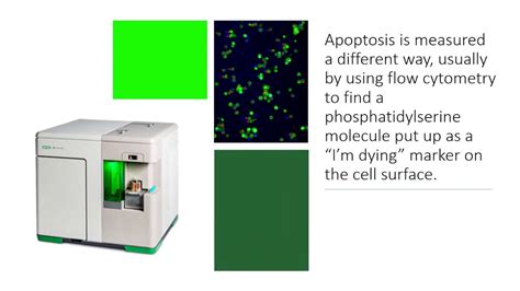 What is cell viability? - YouTube