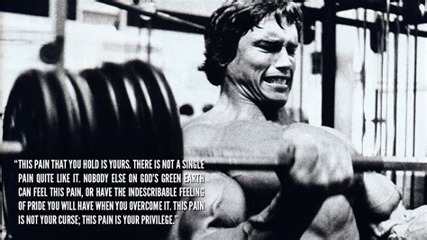 Arnold Schwarzenegger Motivational Quotes. QuotesGram