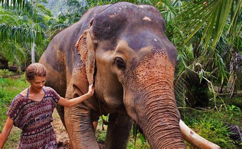 Pin on Wildlife Khao Sok National Park