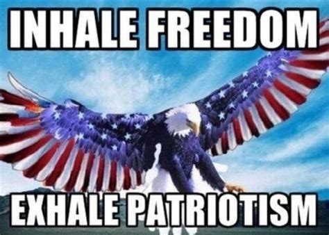 Pin by Shannon Colwick on 4th of July | Patriotic memes, Patriotic ...