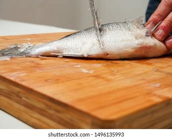 Fishmonger Skills Stock Photos - 69 Images | Shutterstock