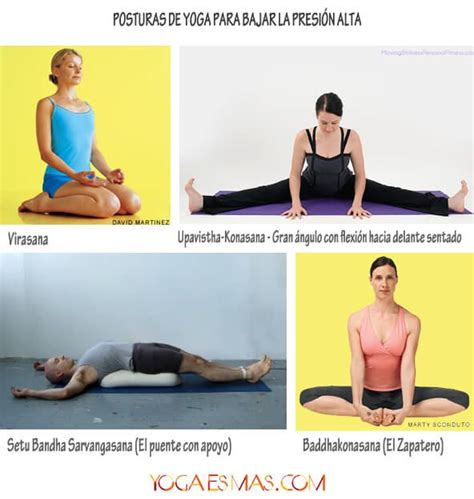 Posturas de yoga para bajar la presión alta | Posturas de yoga, Para bajar la presion, Presion alta