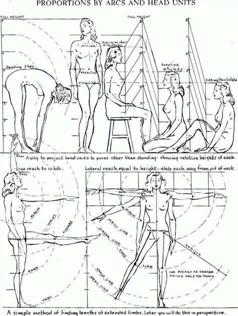 Proportions of the Human Figure : How to Draw the Human Figure in the Correct Proportions – How ...
