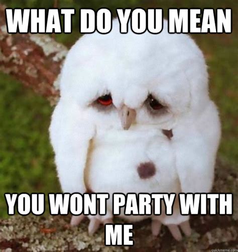 sad owl no party memes | quickmeme