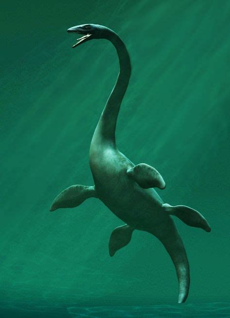 Elasmosaurus #prehistoriccreatures in 2020 | Dinosaur fossils, Prehistoric animals, Prehistoric ...