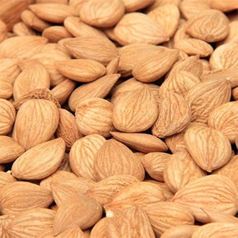 Buy Sweet and Bitter Almonds at Best Price, Sweet and Bitter Almonds Supplier in London