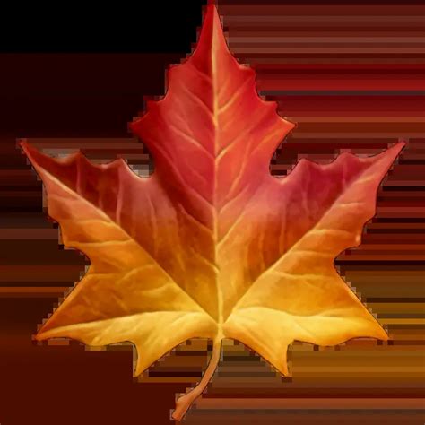 🍁 - Maple Leaf Emoji 📖 Emoji Meaning Copy & 📋 Paste ( ‿ ) SYMBL