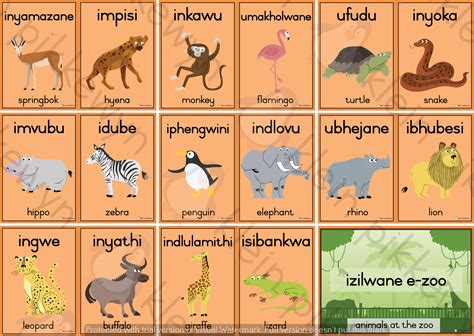 Zoo Animals Pictures With Names Chart