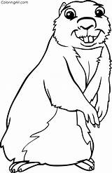 Gopher Coloring Pages 9 Free Printables  ColoringAll sketch template
