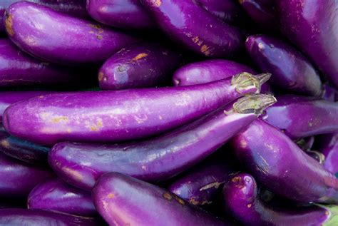 Aubergine - 'Long Purple' - Violetto Lungo Øko - Fuglebjerggaard ...