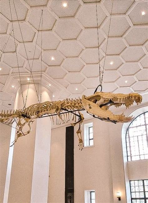 National Museum of Natural History (Philippines) Photograph and Edited by John M Jurada Rare ...