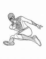Free Printable Spiderman Coloring Pages For Kids sketch template
