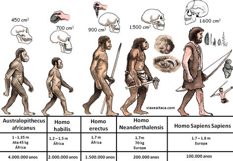 Proceso de hominización | Recurso educativo 745347 - Tiching