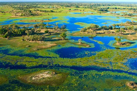 The Okavango: why you need a safari in Botswana's delta - Lonely Planet