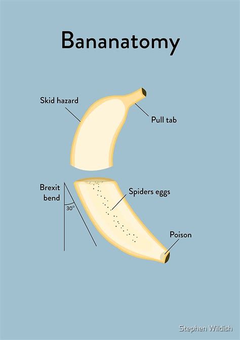 "Banana Anatomy" by Stephen Wildish | Redbubble