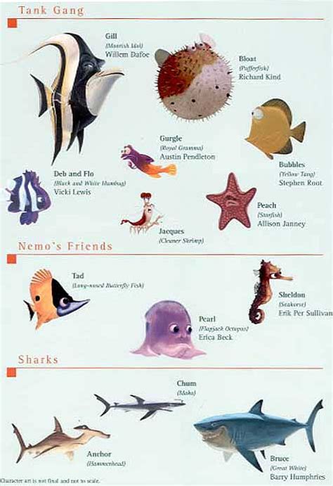 Finding nemo fish types and names - cyberright