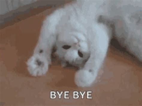 Kitty Bye GIF - Kitty Bye Wave - Discover & Share GIFs