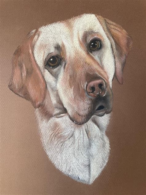 my first attempt at a soft pastel pet portrait. Thus is my hearing Dog, Jas : r/Softpastel