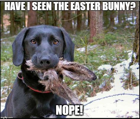 Image tagged in easter,easter bunny,happy easter,memes - Imgflip