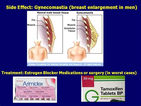 Role of Estradiol in Men and Its Management | Testosterone Wisdom