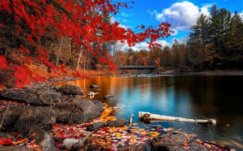 Lake Fall Nature Wallpapers - Top Free Lake Fall Nature Backgrounds ...