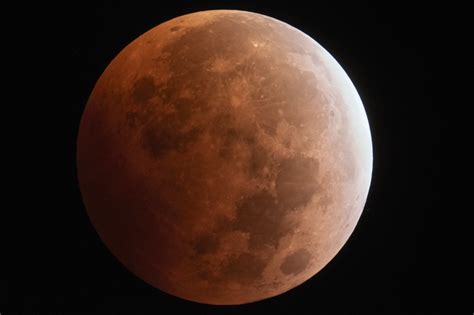 Lunar Eclipse March 2024 - Theo Adaline
