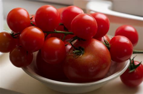 Tomatoes on the Vine | Daily picture for 3 June 2012 using s… | Flickr