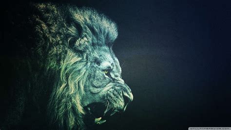 Lion Wallpaper HD 1080P - WallpaperSafari