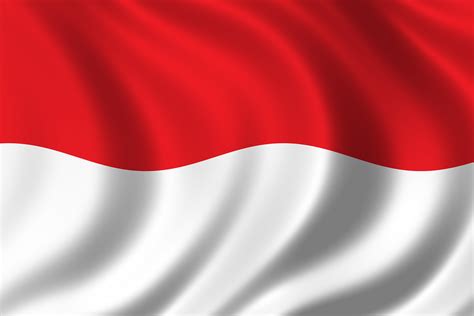 Download Gambar Bendera Merah Putih Dan Burung Garuda Konstitusi - Riset