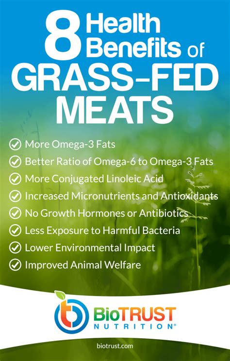 Here are 8 Powerful Health Benefits of Grass-Fed Meat - BioTrust