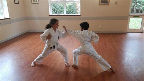 Langley Taisei Karate Academy: Learn about Kihon, the fundamental training that builds a real ...