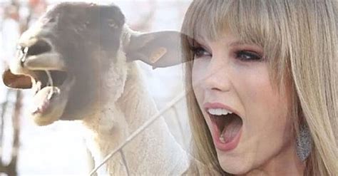 Taylor Swift Goat | Shut Up I'm Talking