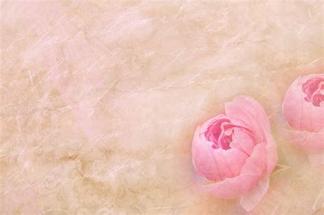 Free illustration: Stationery, Paper, Flowers, Font - Free Image on Pixabay - 667706