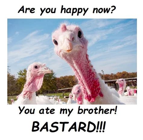 🦃🦃🦃🍗🍗🍗🍖🍖🍖😛😛😛😋😋😋🙃😁 Holiday Fun, Christmas Time, Xmas, Fat Bird, Adult Humor, Brighten Your Day ...