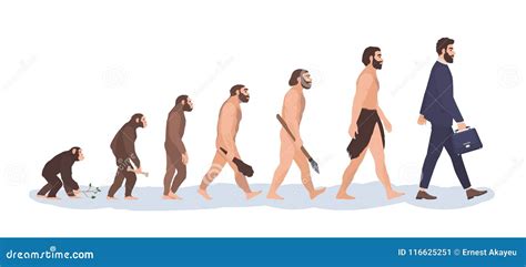 Etapas De La Evolución Humana Proceso Evolutivo Y Visualización Gradual Del Desarrollo Del Mono ...