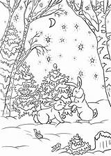 Get Forest Coloring Pages Pdf To Print Here  Coloringfoldercom sketch template