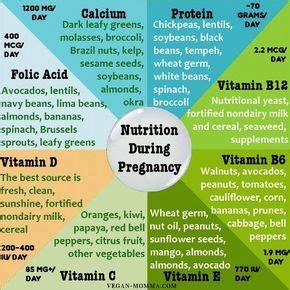 Its easy to maintain the proper nutrition during pregnancy on a vegan diet, just eat a varied ...