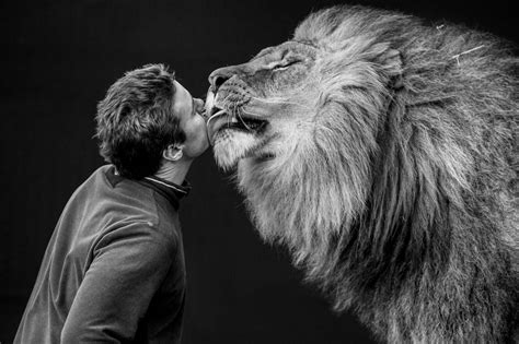 Thomas Chipperfield: Britain's last lion tamer - in pictures | Big cat diary, Lion photography ...