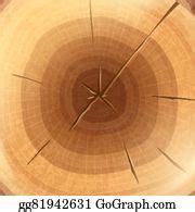560 Vector Wood Cross Section Background Clip Art | Royalty Free - GoGraph