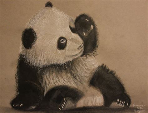 Realistic Pandas Drawings